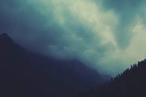 印度，喜马偕尔邦，夜晚，天空，平静，放松，森林，剪影