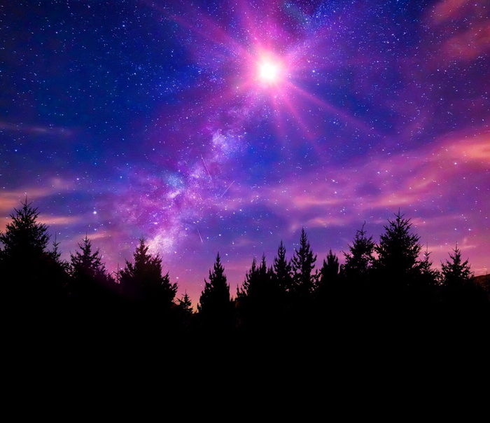 剪影摄影，树木，星云，银河，夜空，恒星，太空，星系