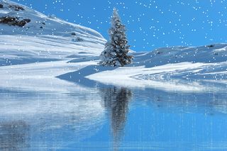 绿色，松树，中间，雪盖田野，冬天，雪，降雪，冬天