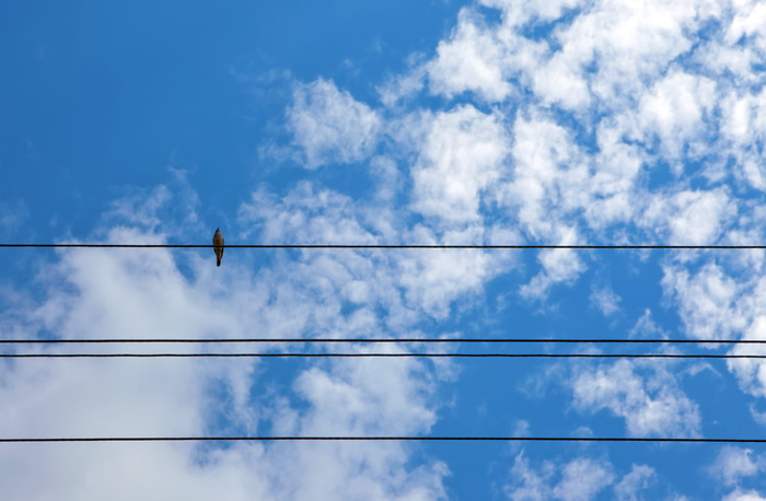 空气，大气，背景，美丽，蓝色，蓝天，明亮，气候