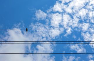空气，大气，背景，美丽，蓝色，蓝天，明亮，气候