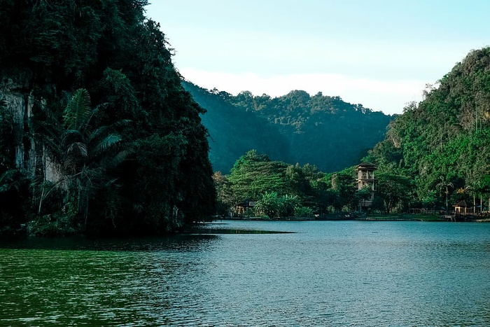 森林，丛林，湖泊，风景，山脉，自然，河流，树木