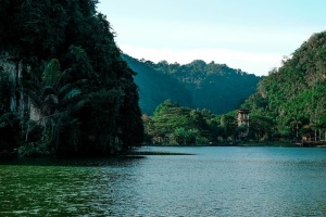 森林，丛林，湖泊，风景，山脉，自然，河流，树木