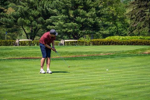 高尔夫，高尔夫球场，推杆，休闲活动，植物，绿色，活动，树木