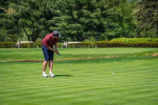 高尔夫，高尔夫球场，推杆，休闲活动，植物，绿色，活动，树木