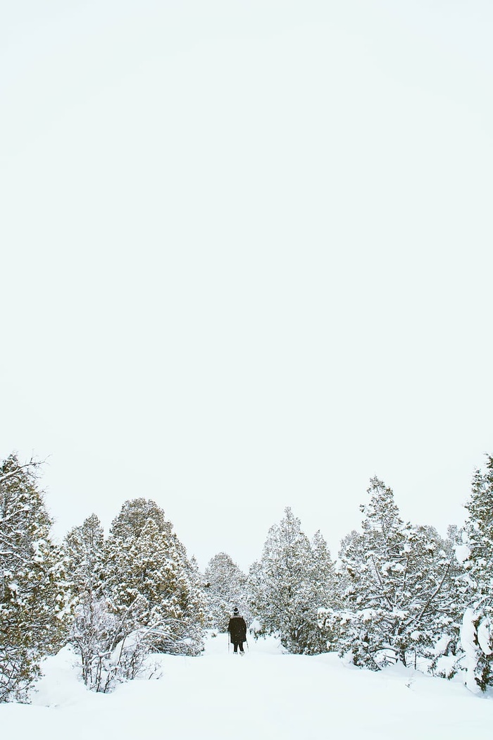 男人，抱着，滑雪杆，雪地，雪，冬天，白色，寒冷