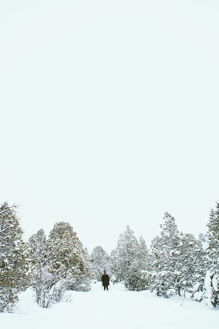 男人，抱着，滑雪杆，雪地，雪，冬天，白色，寒冷