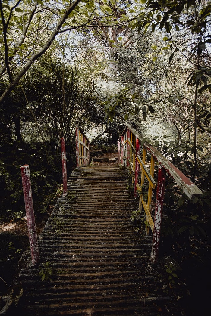 葡萄牙里斯本贝伦热带植物园