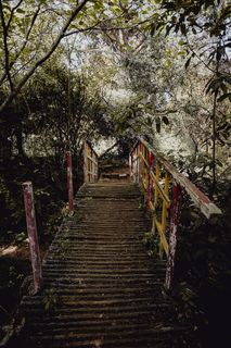 葡萄牙里斯本贝伦热带植物园