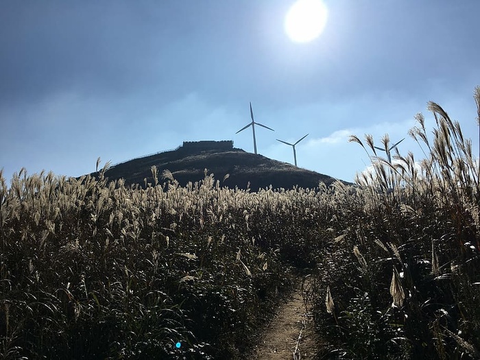 阳光、东白山、芦苇、天空、环境、植物、风力涡轮机、可再生能源