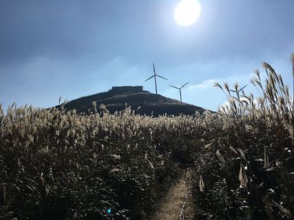 阳光、东白山、芦苇、天空、环境、植物、风力涡轮机、可再生能源
