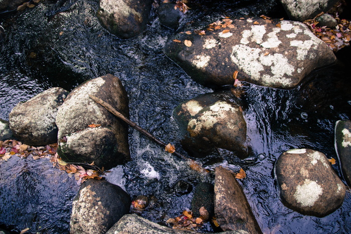 美国，林肯，怀特山脉，小溪，森林，自然，水，河流