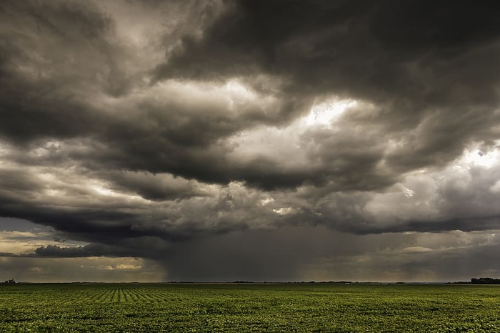 加拿大，马尼托巴省，田野，风暴，雨水，草原，云朵，云天