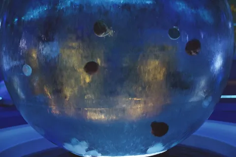 日本, 镰仓, 水族馆, 海蜇, 海洋, 海, 果冻, 特写