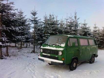 雪，卡车，公共汽车，冬天，绿色，卡车，公共汽车，卡住了，寒冷的温度