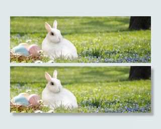 白色，兔子，绿色，草地，复活节兔子，复活节巢，彩蛋，五颜六色