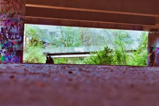 植物，天，无人，自然，选择性聚焦，树，建筑，建筑结构