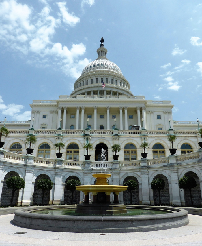 建筑，华盛顿，国会大厦，统治，华盛顿，国会大厦，政治，庭院，圆顶