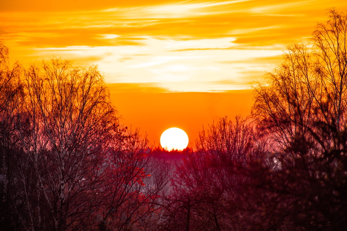 太阳、傍晚、日落、天空、风景、黄昏、阿本斯廷姆格、云