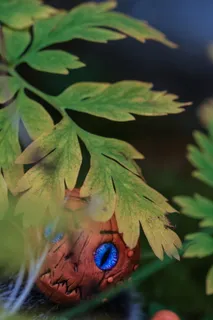 南瓜，人物，秋天，万圣节，季节，叶子，秋天，橙色