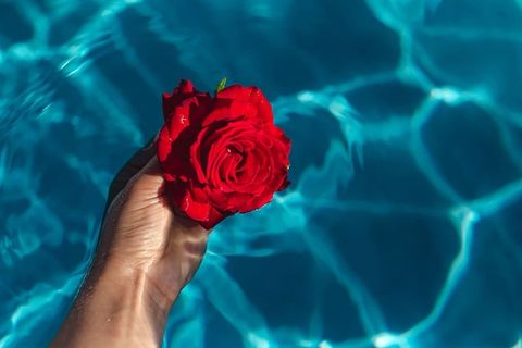在一个温暖的夏日,一座游泳池的碧水上升起了一座清新的花园 在一个温暖的夏日,一座游泳池的碧水上升起了一座清新的花园