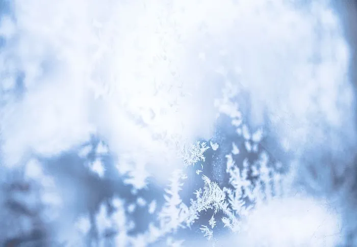 寒冷，雪，光，风景，抽象，模糊，明亮，圣诞节