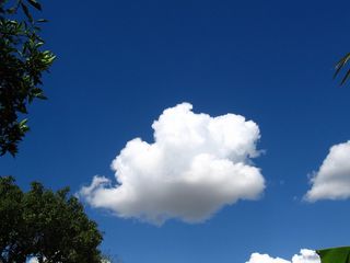云、天空、蓝色、天气、气候、雨、积云、大气层