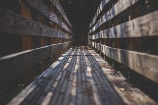 横跨森林的7英里大桥