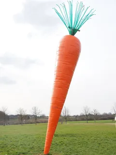 carrot、red、le roi carotte、rosalie、madaris、ostfildern、esslingen、scharnhauser park