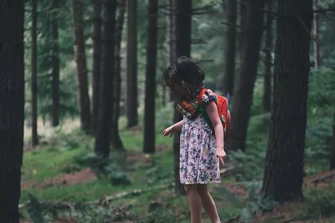 孩子,可爱,森林,女孩,孩子,风景,自然,户外 孩子,可爱,森林,女孩,孩子,风景,自然,户外