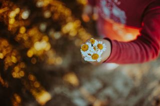 糖果、食品、糖果、手指、植物、花瓣、花朵、花朵