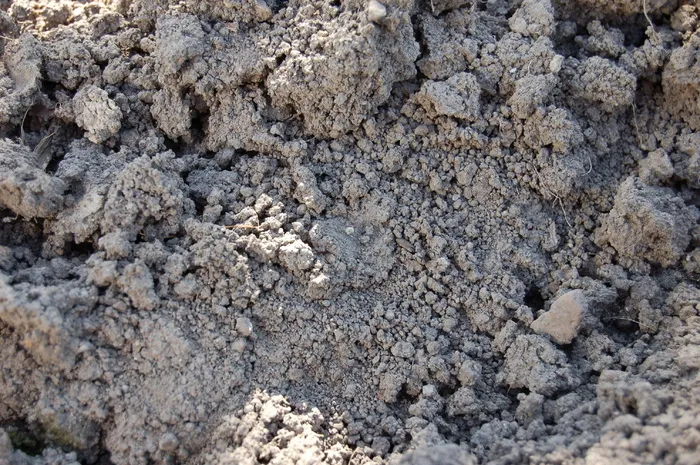 土地，地面，黑钙土，为什么，道路，干燥，灰色，纹理