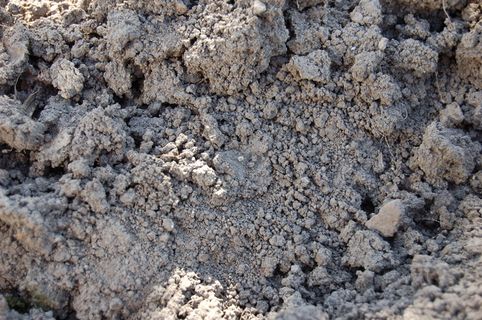 土地，地面，黑钙土，为什么，道路，干燥，灰色，纹理