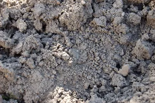 土地，地面，黑钙土，为什么，道路，干燥，灰色，纹理