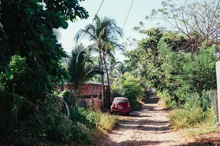 穿过热带绿树的土路