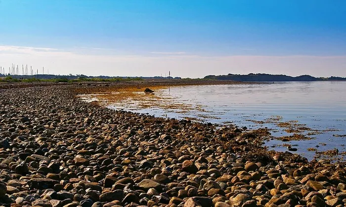 丹麦、丹麦海岸、岛屿、fyns hoved、波罗的海、丹麦波罗的海、丹麦波罗的海海滩、贻贝壳