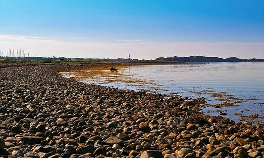 丹麦、丹麦海岸、岛屿、fyns hoved、波罗的海、丹麦波罗的海、丹麦波罗的海海滩、贻贝壳