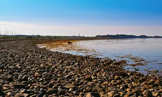 丹麦、丹麦海岸、岛屿、fyns hoved、波罗的海、丹麦波罗的海、丹麦波罗的海海滩、贻贝壳