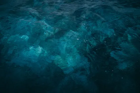 水体,图案,夏天,水,清澈,蓝色,探索,毛里求斯 水体,图案,夏天,水,清澈,蓝色,探索,毛里求斯