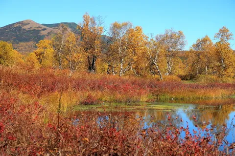 秋天,湖,山,森林,秋天的颜色,景观,自然,水 秋天,湖,山,森林,秋天的颜色,景观,自然,水