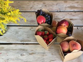 加拿大，奥利弗，隐蔽农场家庭庄园，有机，草莓，桃子，葡萄，农场