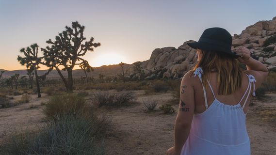 美国,约书亚树国家公园,模型,户外,加利福尼亚州,日落,约书亚树,国家公园 美国,约书亚树国家公园,模型,户外,加利福尼亚州,日落,约书亚树,国家公园