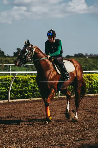 阳光下骑马的人