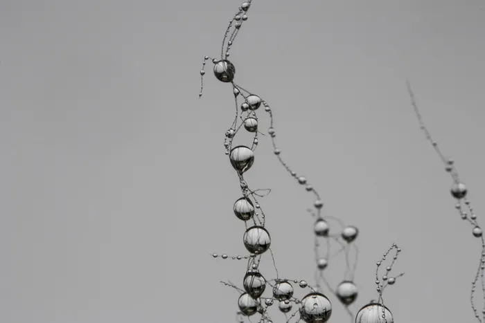 水滴，网络，突触，珍珠，灰色，雨滴，别墅，没有人
