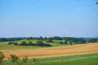 乡村、作物、农田、农场、田地、草地、草地、景观