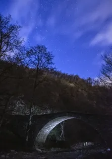 树木附近的灰色混凝土桥 树木附近的灰色混凝土桥