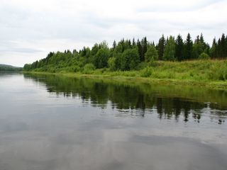 r、 vishera，集团，perm krai河，景观，自然，旅游，海滩