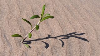 <!DOCTYPE html>
<html>
    <head>
        <title>文件“C:log.txt”正由另一进程使用，因此该进程无法访问此文件。</title>
        <meta name="viewport" content="width=device-width" />
        <style>
         body {font-fam