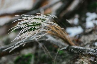 在秋天的森林里散步