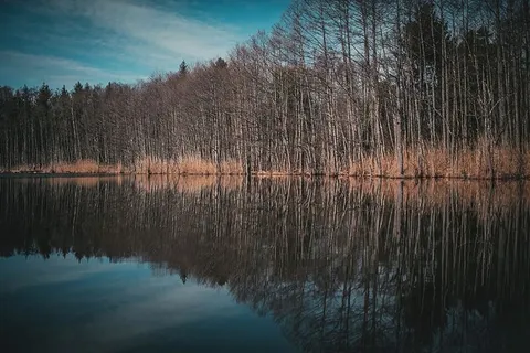 黎明,自然,天空,云朵,黄昏,森林,平静,倒影 黎明,自然,天空,云朵,黄昏,森林,平静,倒影